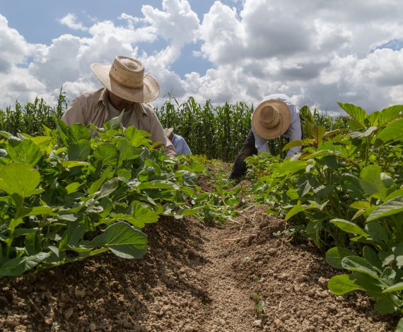 Comissão discute políticas públicas para agricultura familiar e reforma agrária