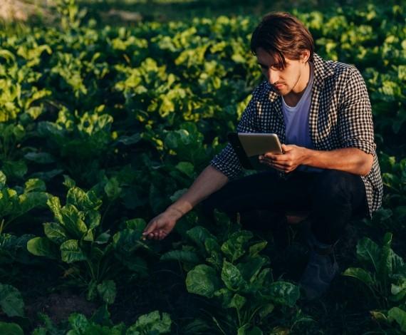 Agricultura 4.0: crescimento sustentável e um olhar sobre o planeta