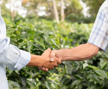 A Reforma Tributária e a Incidência do IBS e CBS sobre Contratos de Comodato - Mapah - Reforma Tributária