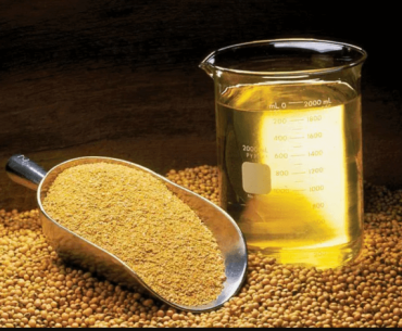 Brasil lança estratégia global para fortalecer biodiesel e biocombustíveis - Mapah - Reforma Tributária