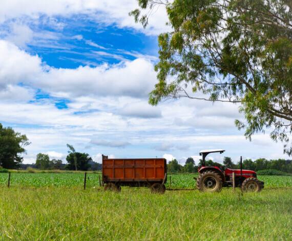 Economia detecta constituição desnecessária de CNPJ por produtores rurais​