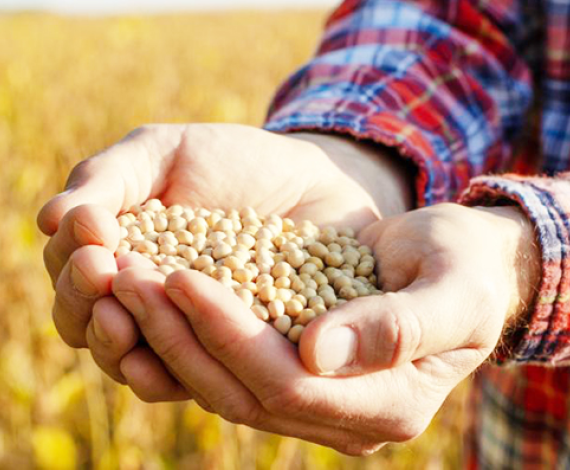 Nova lei eleva imposto sobre insumos e Funrural para produtores rurais em 2026